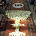 Corpus Christi Flower Petal Carpet 