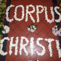 Corpus Christi Flower Petal Carpet 