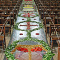 Corpus Christi Flower Petal Carpet  